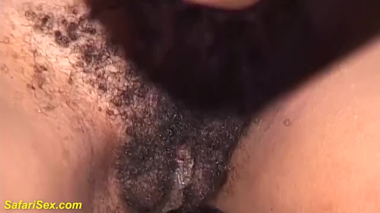 real african step siblings sex - Free Sex Video - RedTube