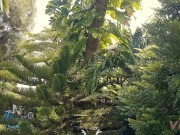 Sex vlog, thailand beach & sea view, in floating market with beautiful girl big boobs sex on car 10/16