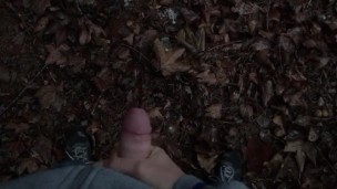 Quick wank in the forrest