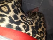 Almost wet myself - Screenshot 15 of 16 - Wet Panties