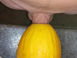 Big cock fucking a melon ( canary ) close up