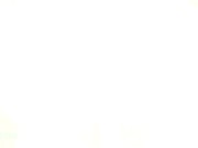 CreamPie Compilation - Try not to Cum - Hot DoggyStyles Creampie - Affenbiss 11/16