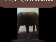 Slim booty bounce on dildo 6/16