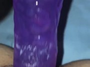 Creamy Playtime Clip