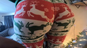pawg x mas tights