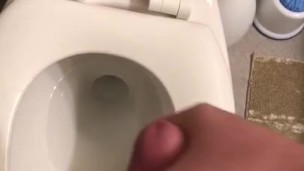 Sneaky cumshot in my bosses bathroom!