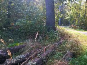 Leg dich hin mach dein Shirt hoch ich will deine Brüste behandeln 16/16