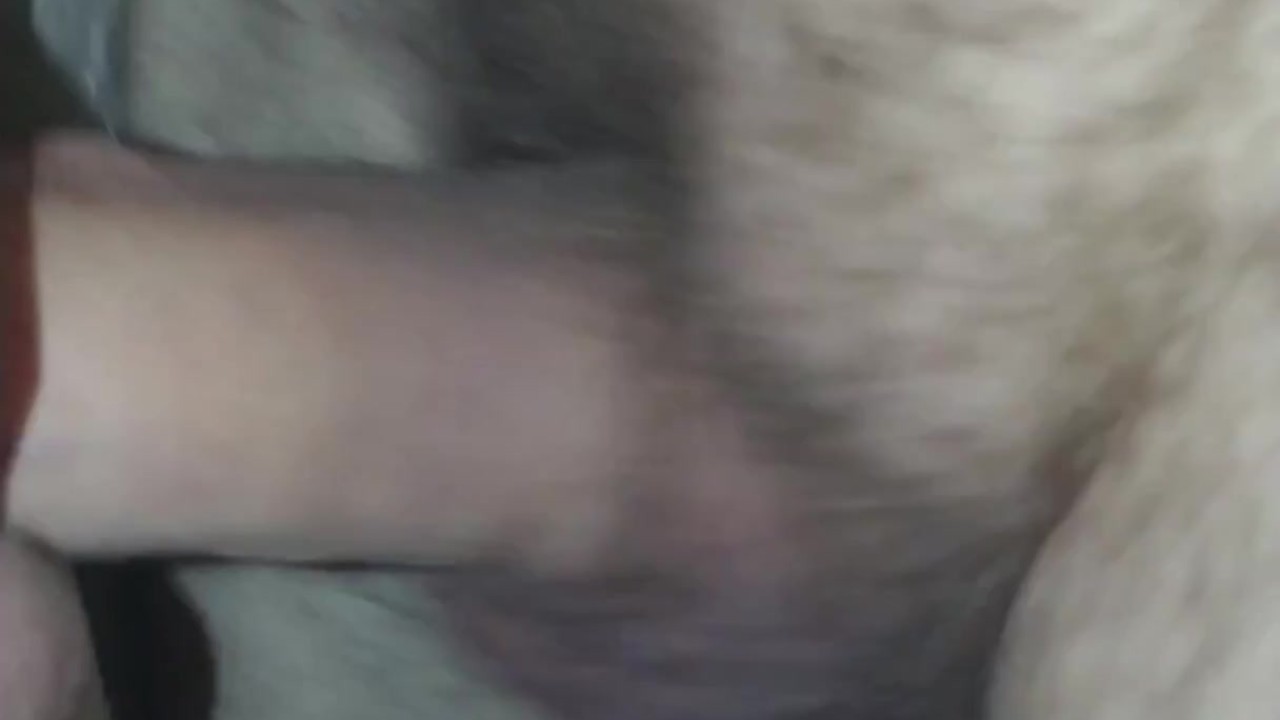 white panties slut fucked - Darmowe seks wideo - RedTube