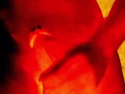 Fire dick  - Screenshot 10 of 16 - Handjob