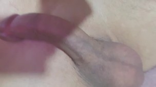 Delicioso 