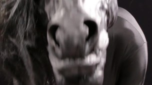 Masturbating black anthropomorphic horse