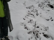 Who wants a Snowcone? Lemon Flavour 16/16