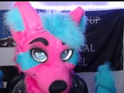 Furries After Dark: The Topic We Never Speak Of 11/16