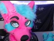 Furries After Dark: The Topic We Never Speak Of 3/16