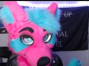 Furries After Dark: The Topic We Never Speak Of 6/16