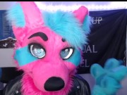 Furries After Dark: The Topic We Never Speak Of 7/16