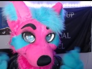 Furries After Dark: The Topic We Never Speak Of 8/16