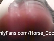 Amateur Male Stripper Porn Star Strokes Big White Cock for POV Cumshot Close Up 16/16