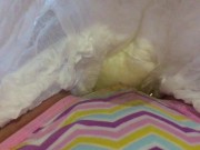 Pee in panties under a diaper. Abdl 11/16