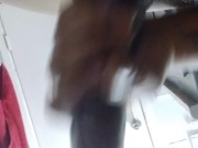 Bored hard dick  - Screenshot 2 of 16 - Jackingoff
