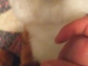 Bitch loves my dick 
