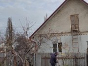 Late apple tree. 10/16