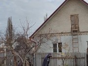 Late apple tree. 11/16