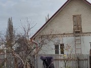 Late apple tree. 12/16