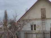 Late apple tree. 15/16