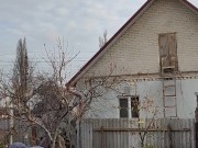 Late apple tree. 3/16