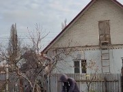 Late apple tree. 4/16