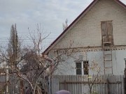 Late apple tree. 5/16