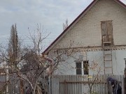 Late apple tree. 8/16