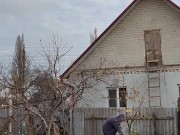 Late apple tree. 9/16