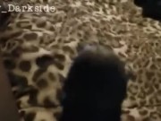 Cumshot 2