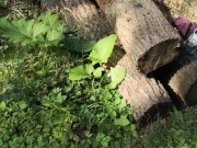 Breasts + cunt hard whipped in public - Directors Cut Voice 1/16