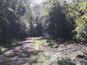 Breasts + cunt hard whipped in public - Directors Cut Voice 13/16