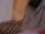 joschi have to lick cream from goddess glorias feet 15/16