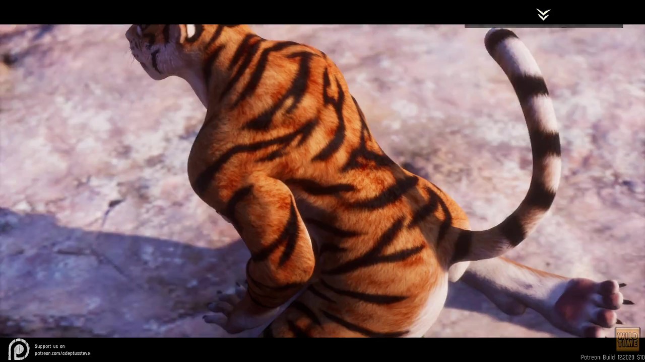 Wild Life / Female Furry Masturbation Compilation 2 HD - Free Sex Video - RedTube