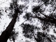 Выебала бутылкой в лесу накануне Нового года - IkaSmoks - Screenshot 14 of 16 - Spanking