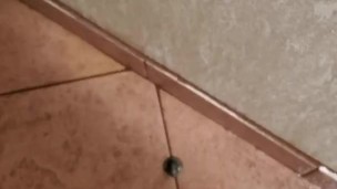 Pissing on the wall and floor right near the toilet