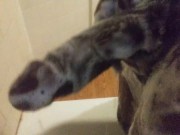 Clean Black Hard Dick