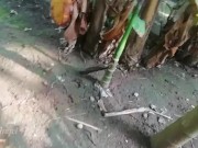 Tik Tok Teen girl pissing in coconut grove 15/16