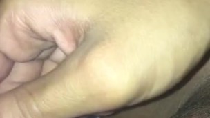 Mid Day Nut