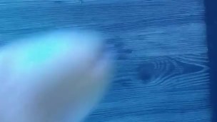 Tanning Booth Masturbation