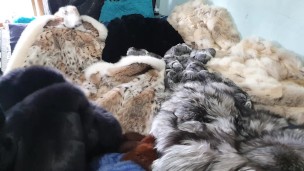 Another pleasure Day with My Furs.