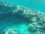 Голая Русалочка ищет друга - Screenshot 5 of 16 - Underwater