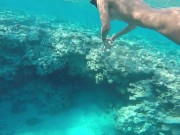 Голая Русалочка ищет друга - Screenshot 6 of 16 - HD