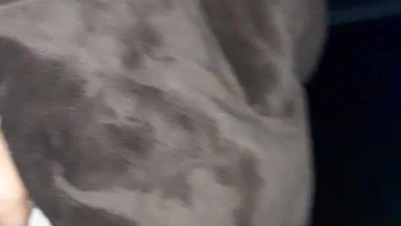 After fuck; massaging daddys BBC ; i give daddy the best hanjobs - Darmowe seks wideo - RedTube