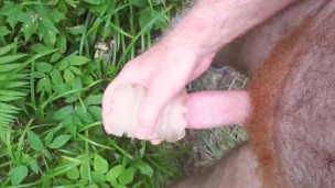 Transparent vagina massages dick while Pipedream cock is stretching asshole - in the forest, Reload
